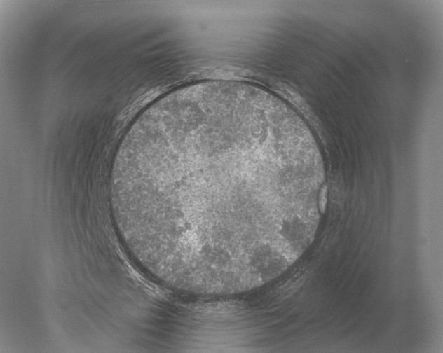 X0000078010433200611251507