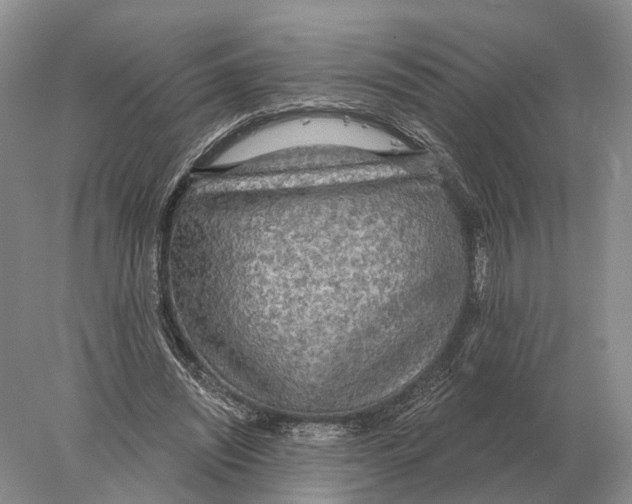 X0000078010444200611251507