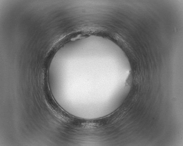 X0000078010448200611251507