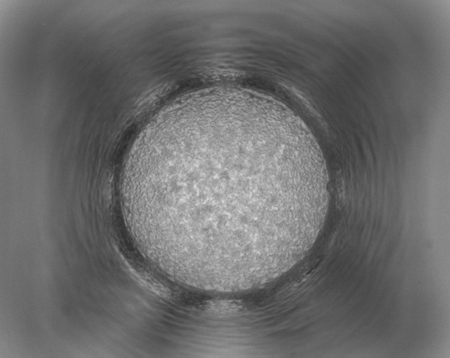 X0000078010451200611251507