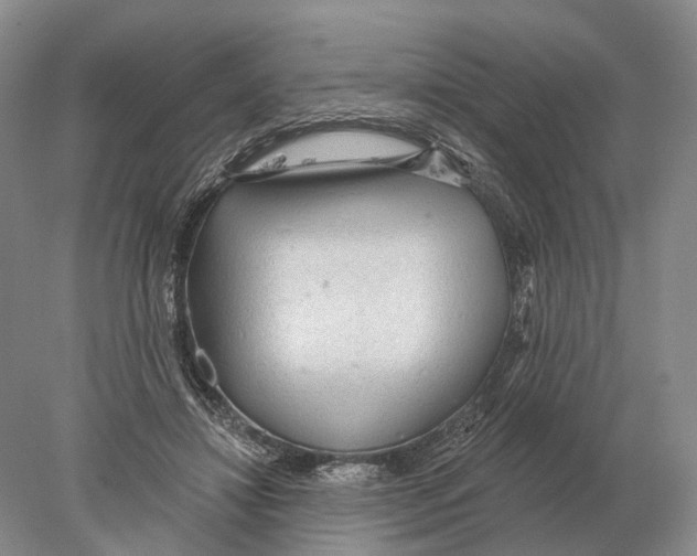 X0000078010452200611251507