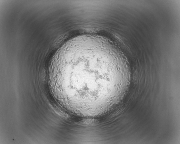 X0000078010459200611251507