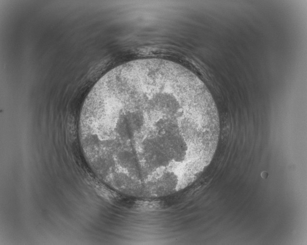 X0000078010469200611251508