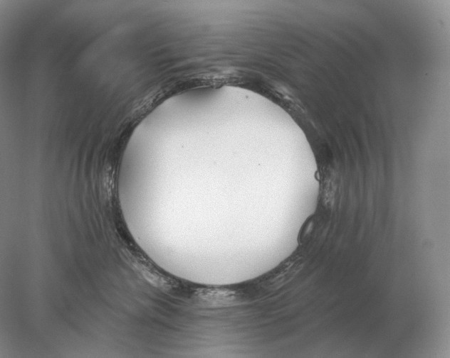 X0000078010476200611251508