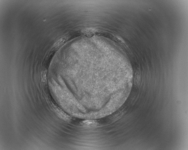 X0000078010477200611251508