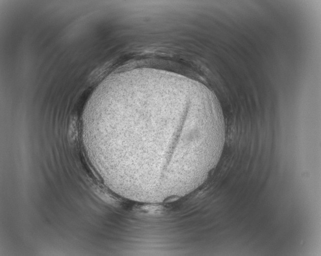 X0000078010478200611251508