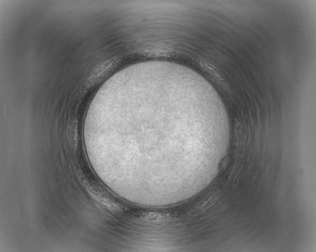 X0000078010494200611251507