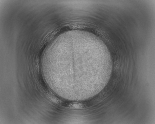 X0000078010506200611251507