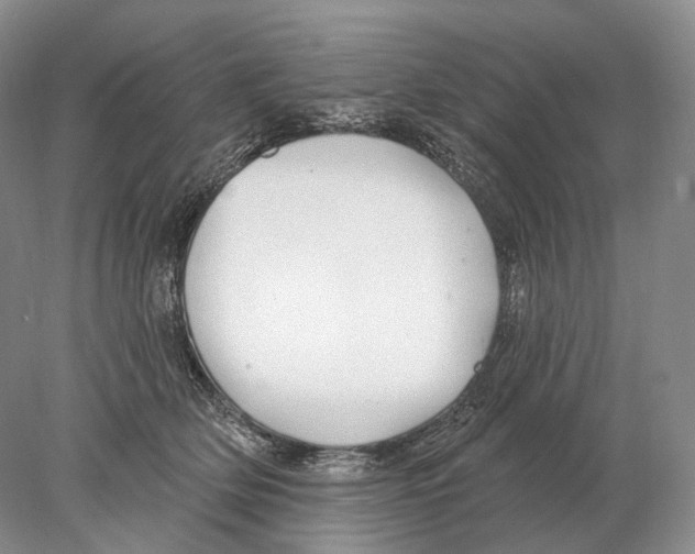 X0000078010514200611251506