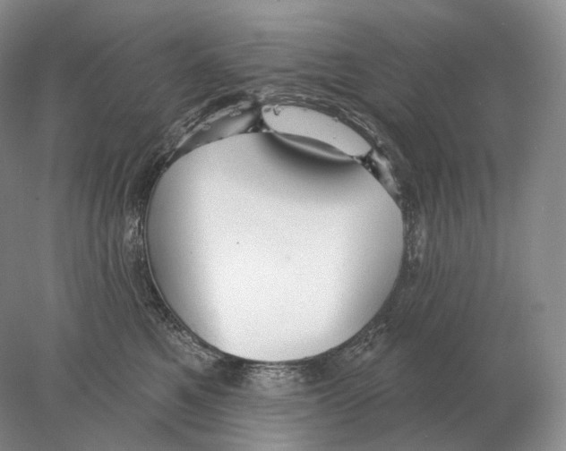 X0000078010521200611251506