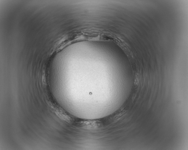X0000078010524200611251506