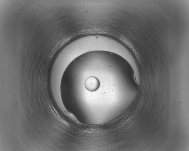 X0000078010537200611251505