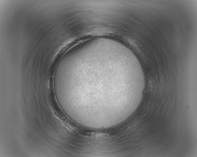 X0000078010539200611251505