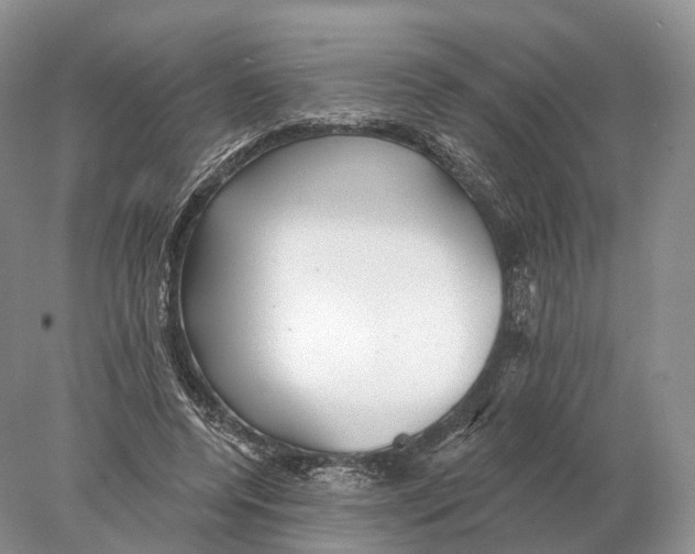 X0000078010544200611251506