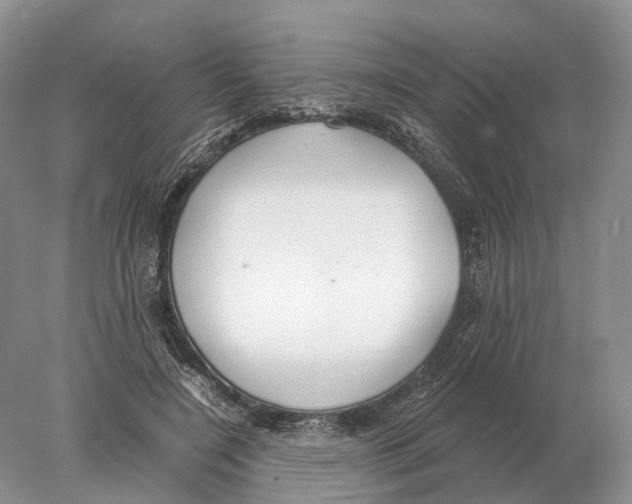 X0000078010548200611251506