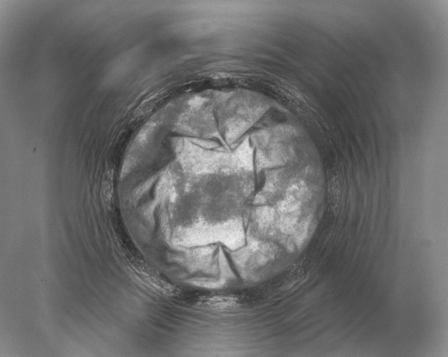 X0000078010554200611251506