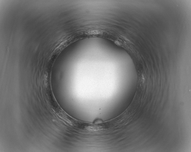 X0000078010556200611251506