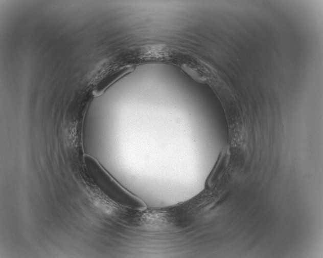 X0000078010560200611251506