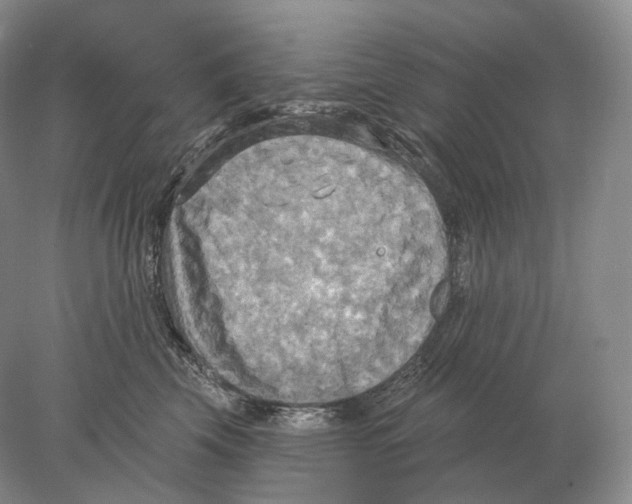 X0000078010569200611251506