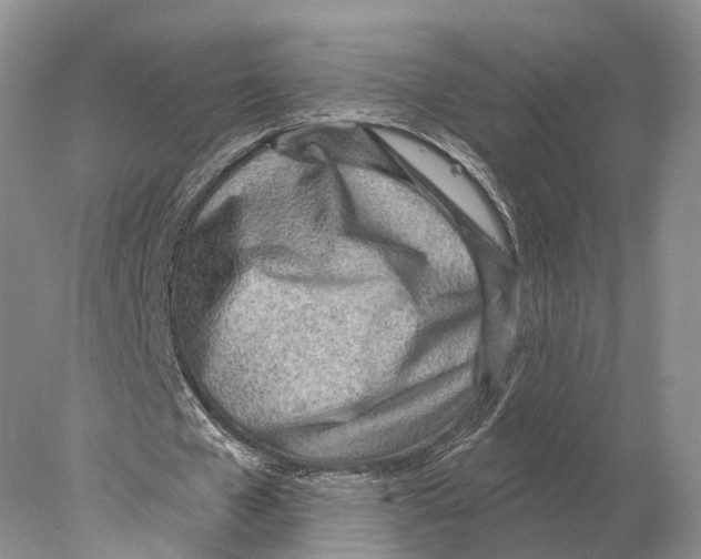 X0000078010577200611251505
