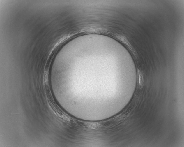 X0000078010579200611251505