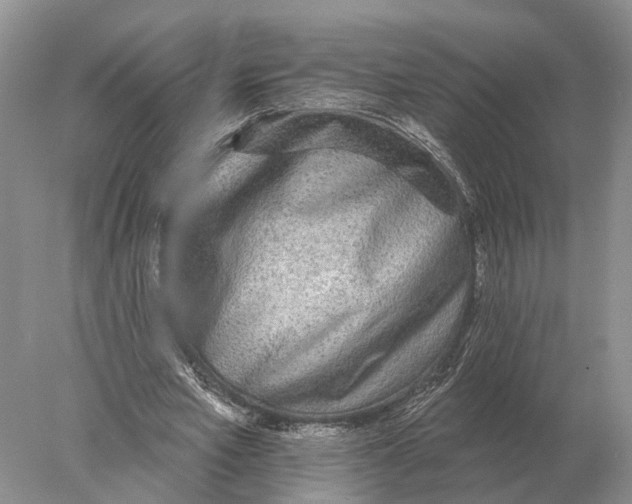 X0000078010581200611251505