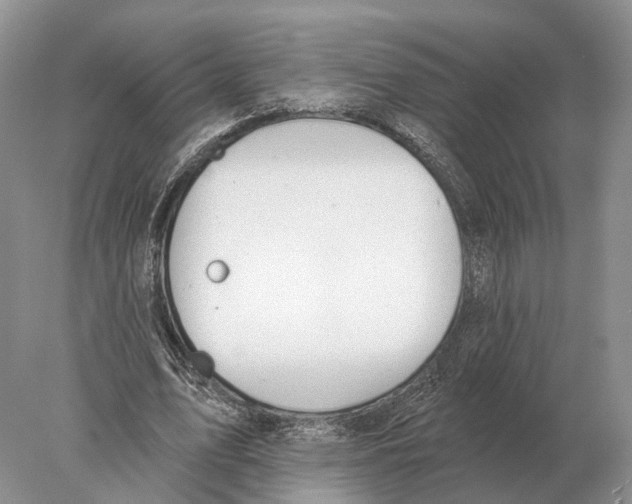 X0000078010583200611251505