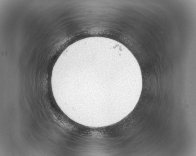 X0000078010592200611251505
