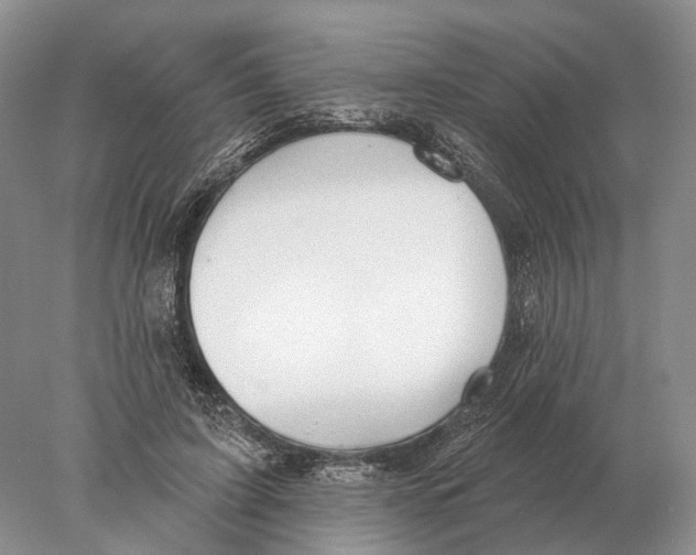 X0000078010595200611251505