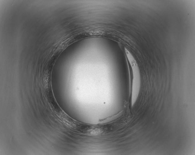 X0000078010604200611251505
