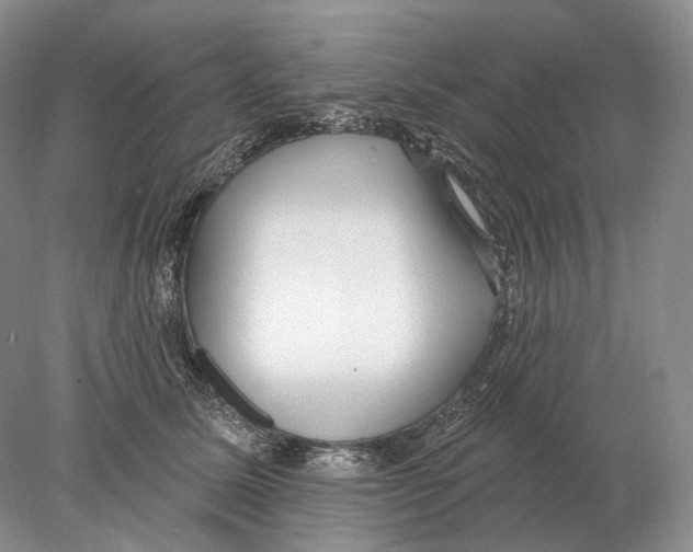 X0000078010611200611251505