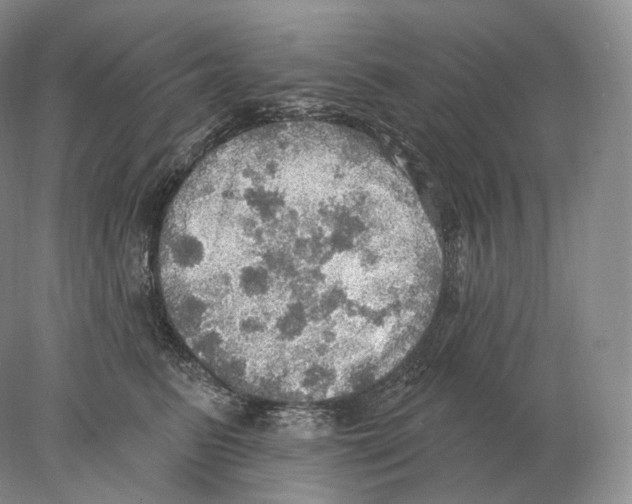X0000078010615200611251505