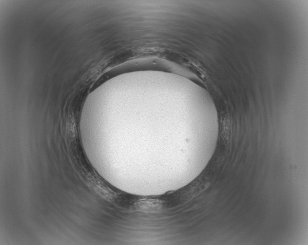 X0000078010617200611251505