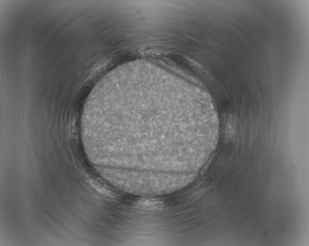 X0000078010619200611251505