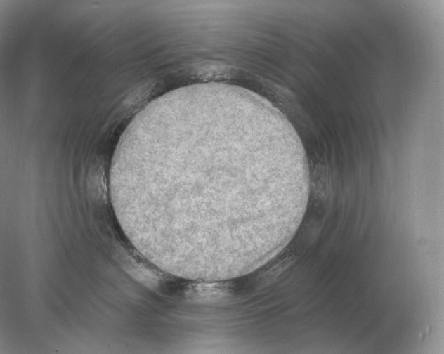 X0000078010622200611251505