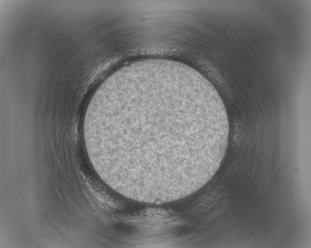 X0000078010636200611251504