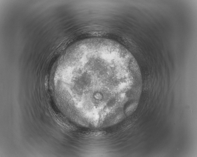 X0000078010646200611251504