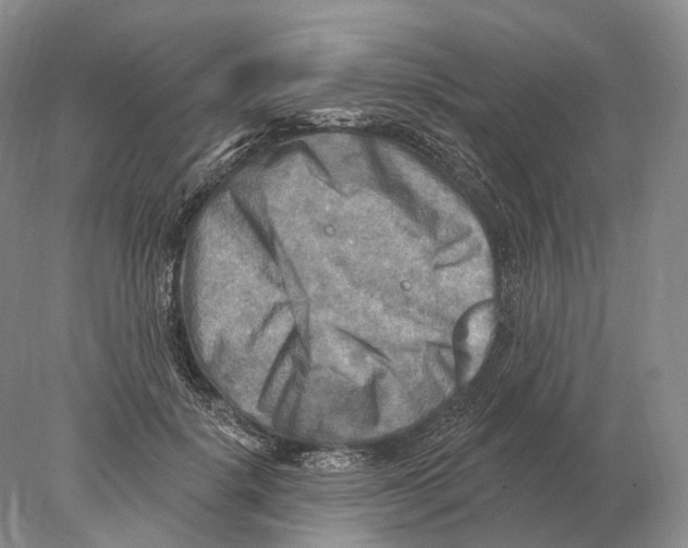 X0000078010652200611251504