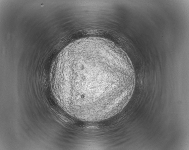 X0000078010653200611251504