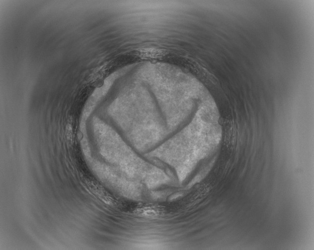 X0000078010655200611251504