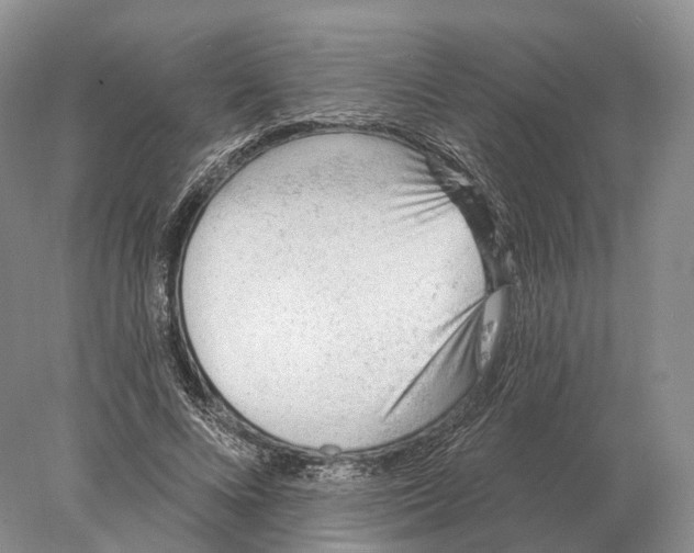 X0000078010688200611251503
