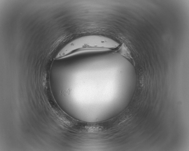 X0000078010693200611251503