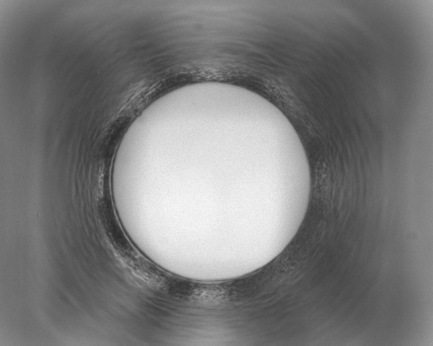 X0000078010694200611251503