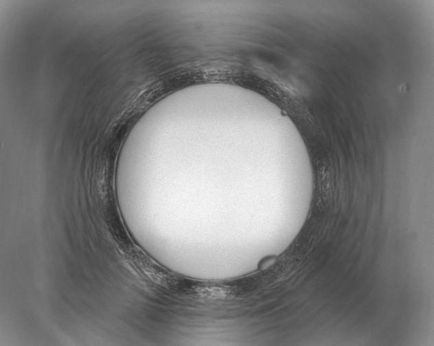 X0000078010698200611251503