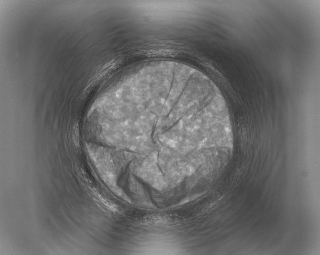X0000078010729200611251502