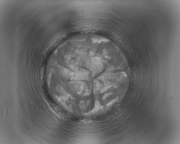 X0000078010742200611251502