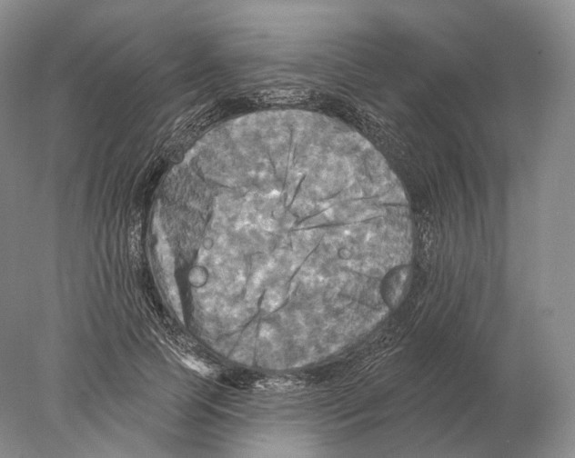 X0000078010745200611251502
