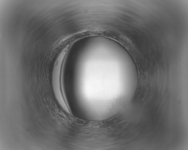 X0000078010773200611251502