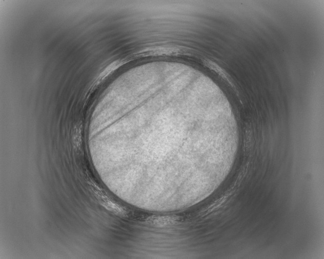 X0000078010778200611251502