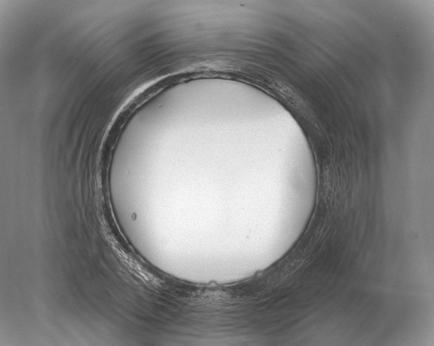 X0000078010784200611251502